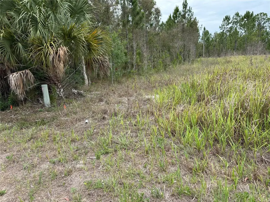1009 Jackson Avenue, Lehigh Acres, FL 33972 - #2