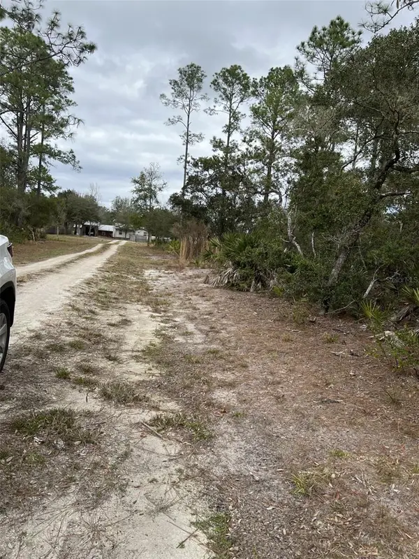 0 NE 144th Court, FORT MC COY, FL 32134