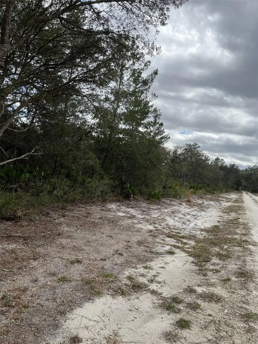 0 NE 144th Court, Fort McCoy Anthony, FL 32134 - #2