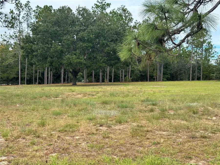 4551 NE 132nd Court, Williston, FL 32696 - #3