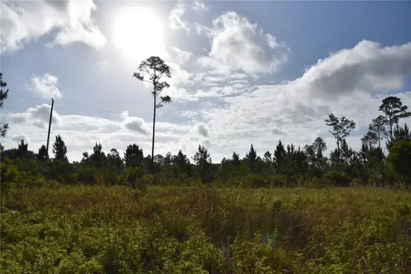 22370 NE 130th Avenue, FORT MC COY, FL 32134