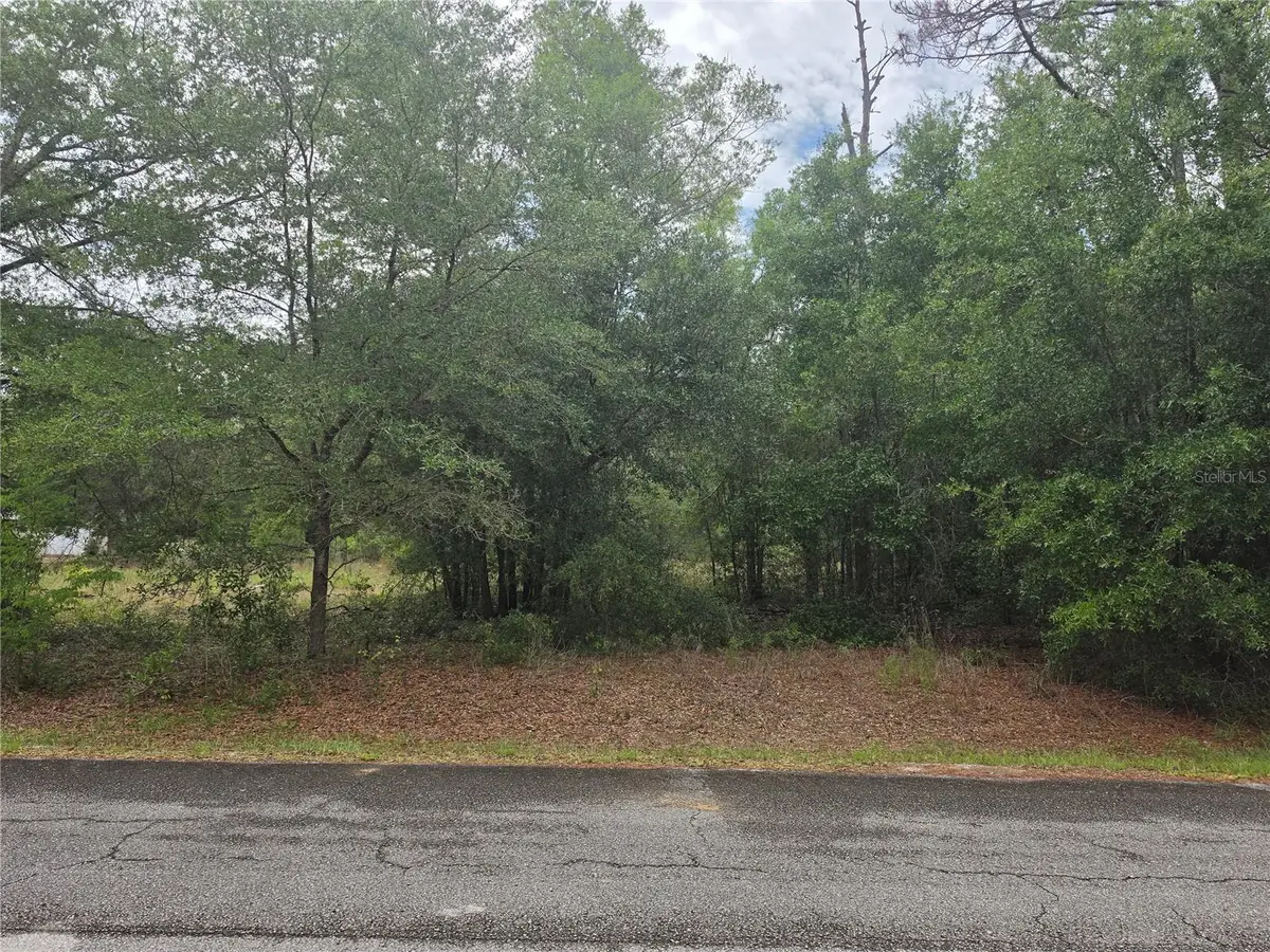 SW 202nd Court, Dunnellon, FL 34431 - #1