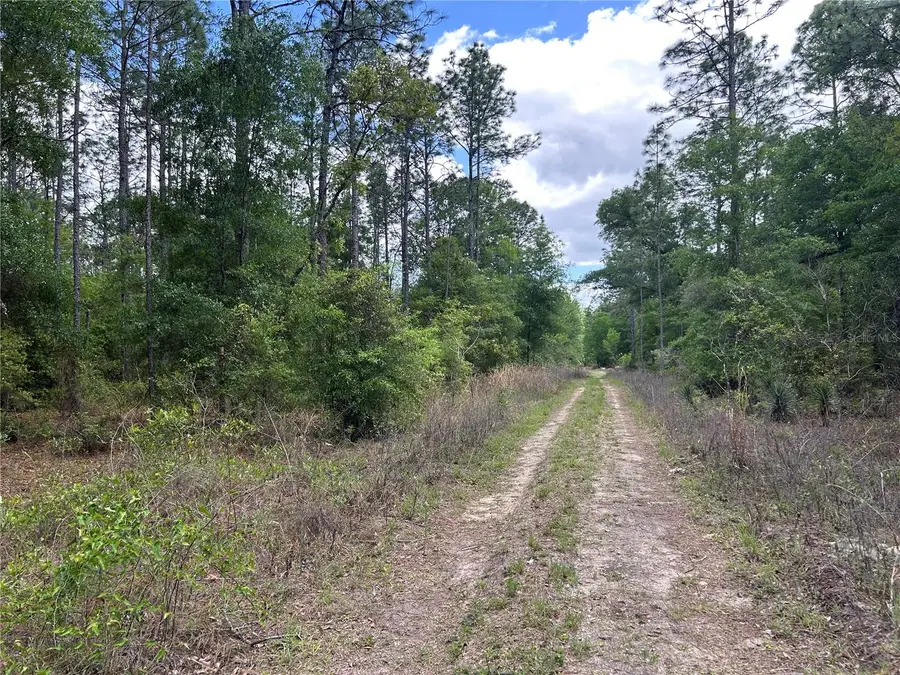 TBD SW 159th Avenue, Ocala, FL 34481 - #2