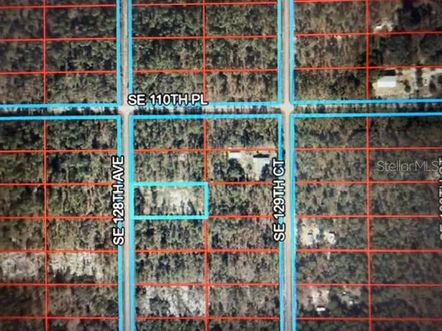 0 SE 128th Avenue, Dunnellon, FL 34431 - #1