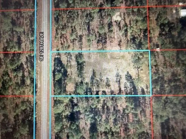 0 SE 128th Avenue, Dunnellon, FL 34431 - #2