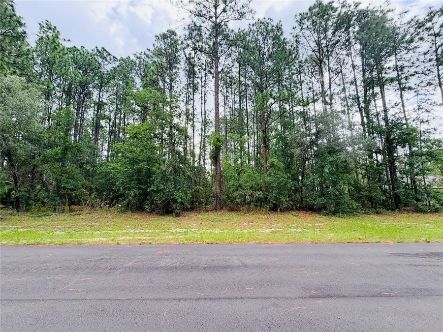 13873 SW 80th Court, Ocala, FL 34473 - #2