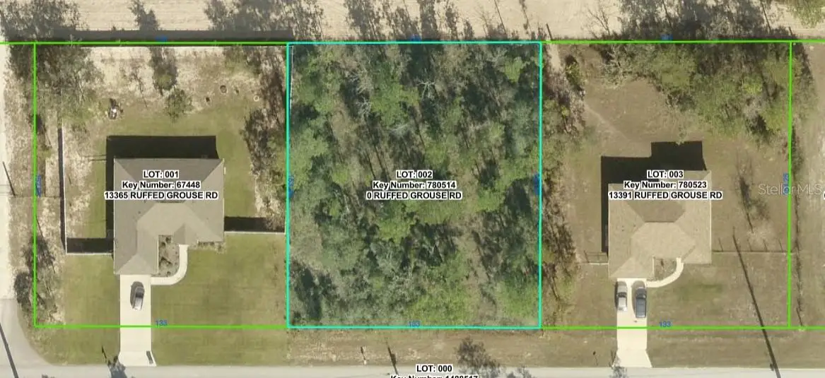 0 Ruffed Grouse Road, Weeki Wachee, FL 34614 - #1