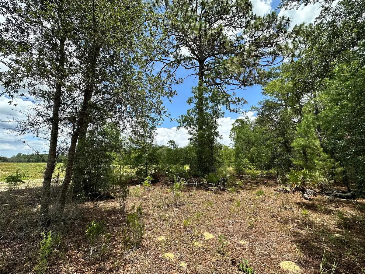 TBD NE 69th Place, Bronson, FL 32621 - #1