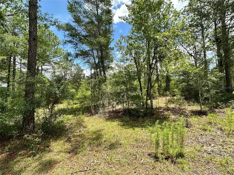 TBD NE 69th Place, Bronson, FL 32621 - #3