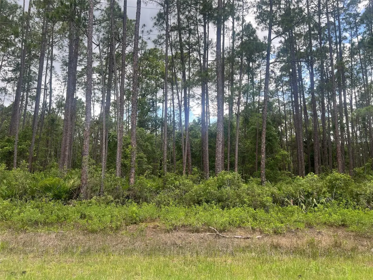 137 E Boundary Drive, Georgetown, FL 32139 - #1
