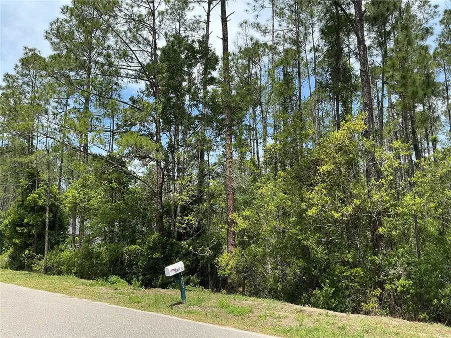 4430 Vicki Street, Hastings, FL 32145 - #3