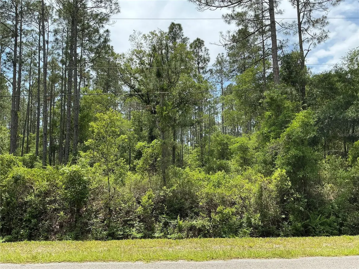 4365 Vicki Street, Hastings, FL 32145 - #1