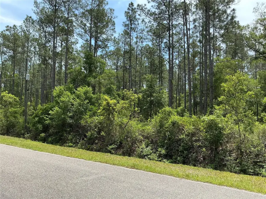 4365 Vicki Street, Hastings, FL 32145 - #3