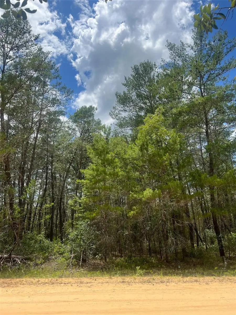 Neilson Ave, Interlachen, FL 32148 - #1