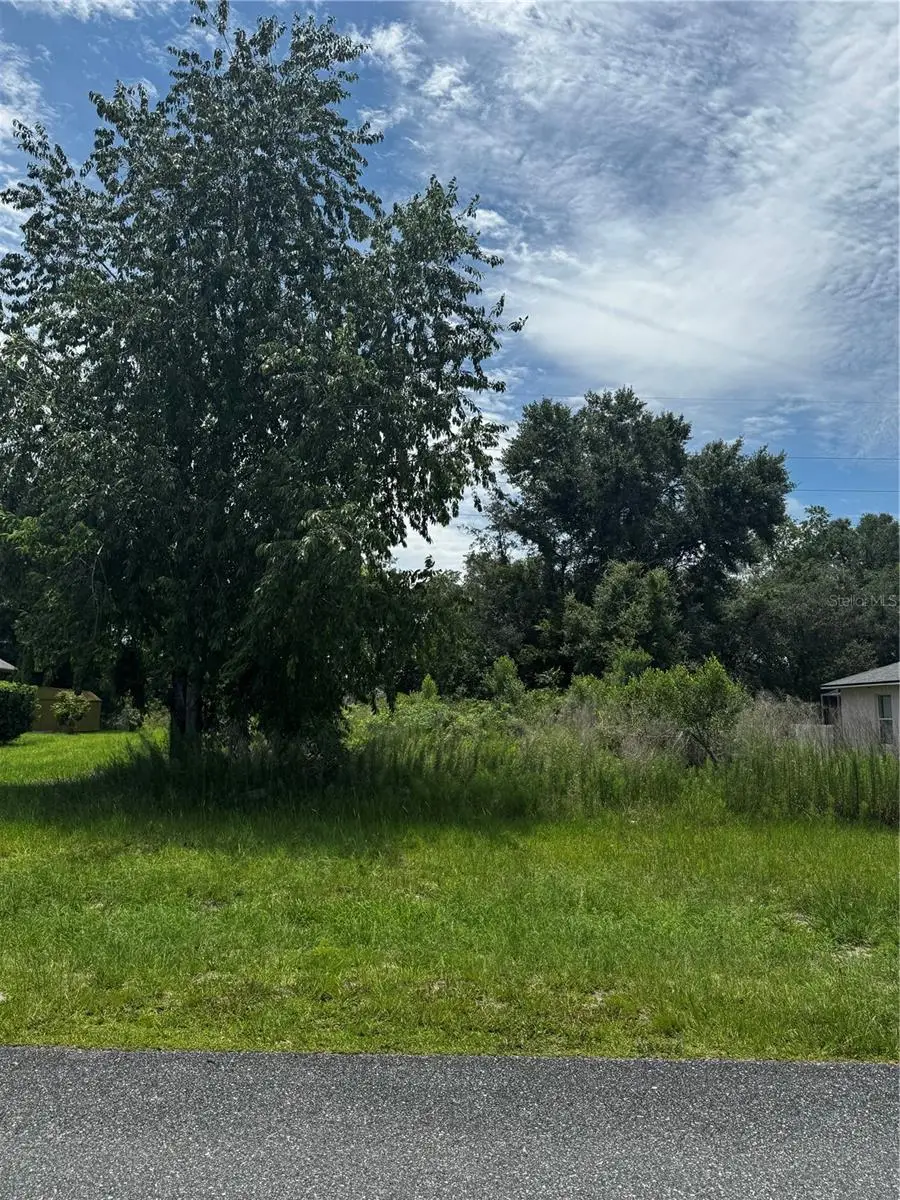tbd SW 46th Court, Ocala, FL 34473 - #2