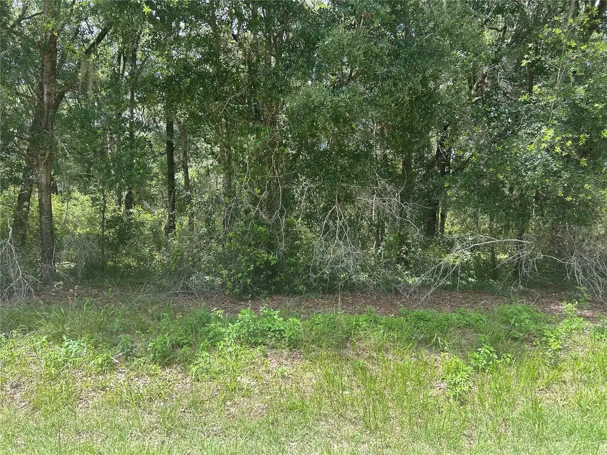 SW 111 Lane, Dunnellon, FL 34432 - #1