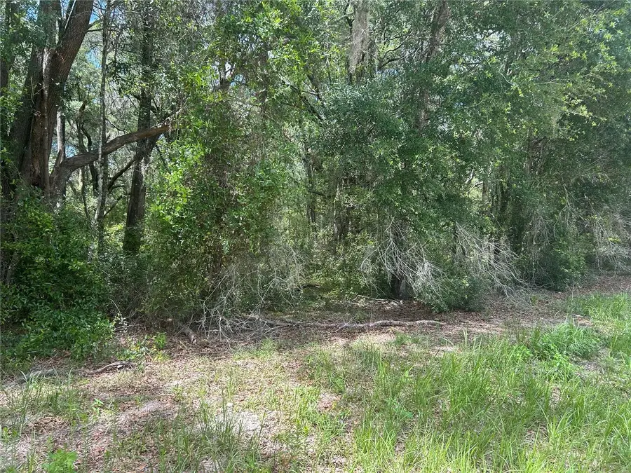 SW 111 Lane, Dunnellon, FL 34432 - #2