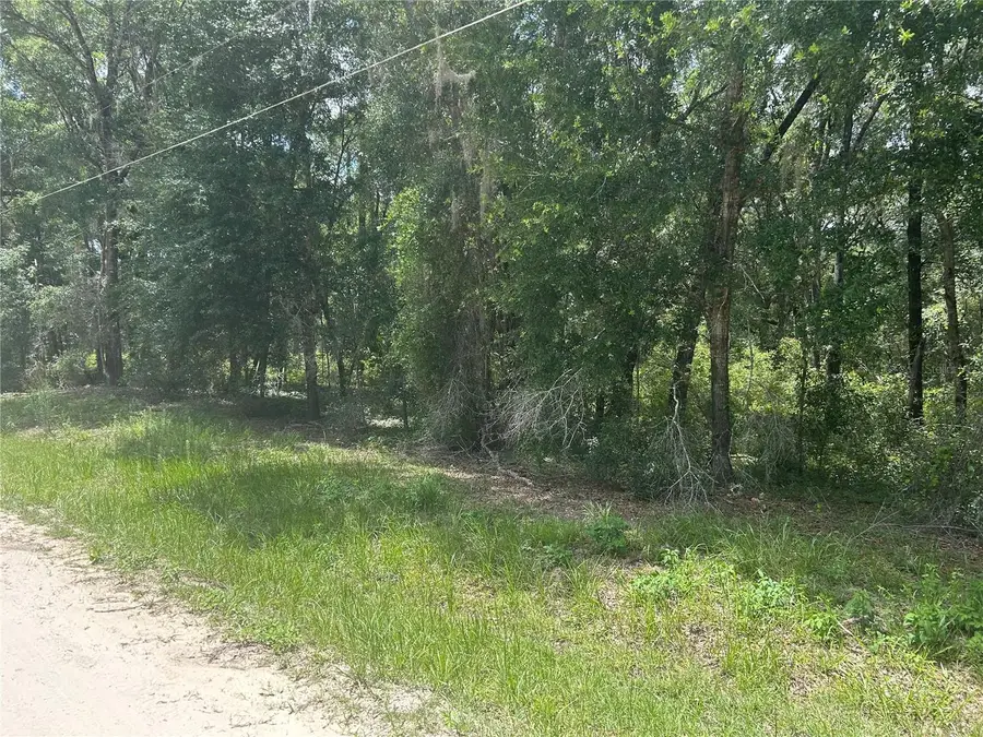 SW 111 Lane, Dunnellon, FL 34432 - #3