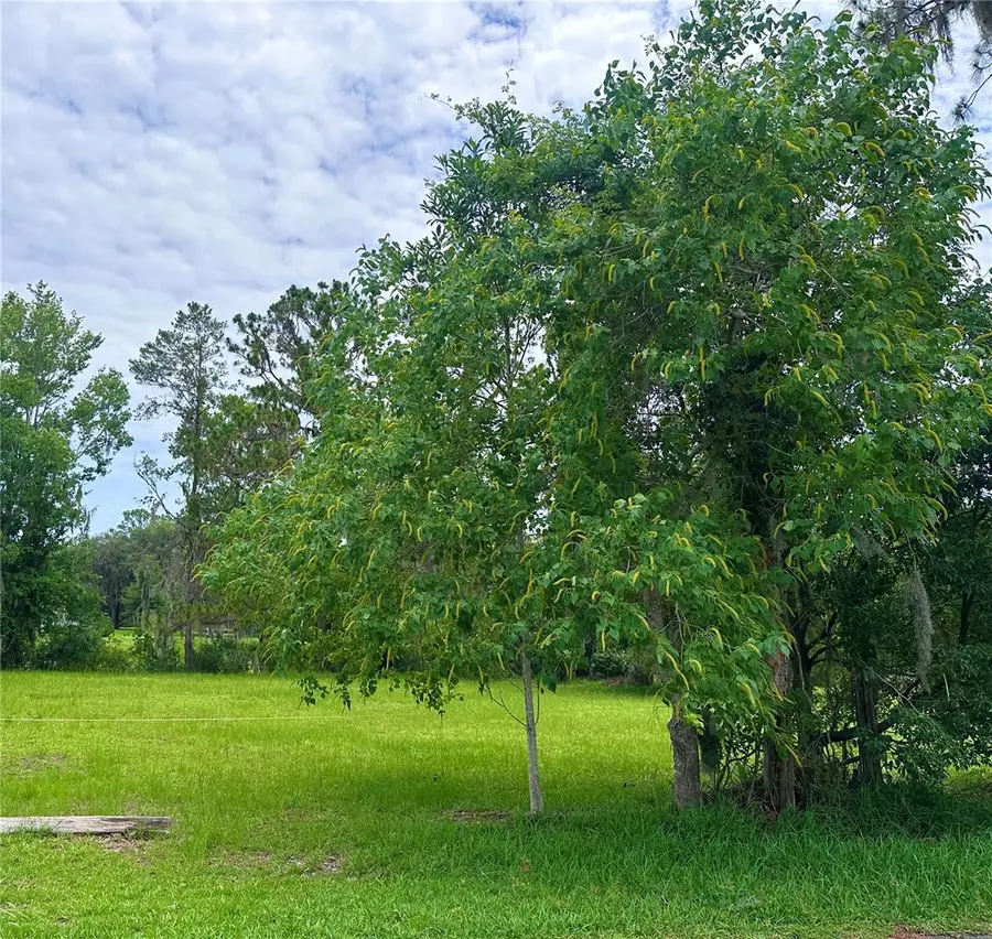 000 SE 197th Place, Inglis, FL 34449 - #3
