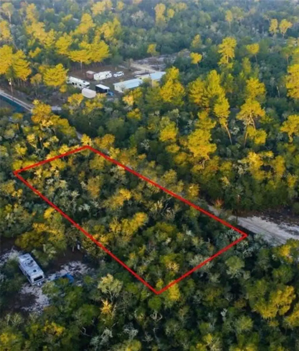 TBD NE 234 Place, Fort McCoy, FL 32134 - #1