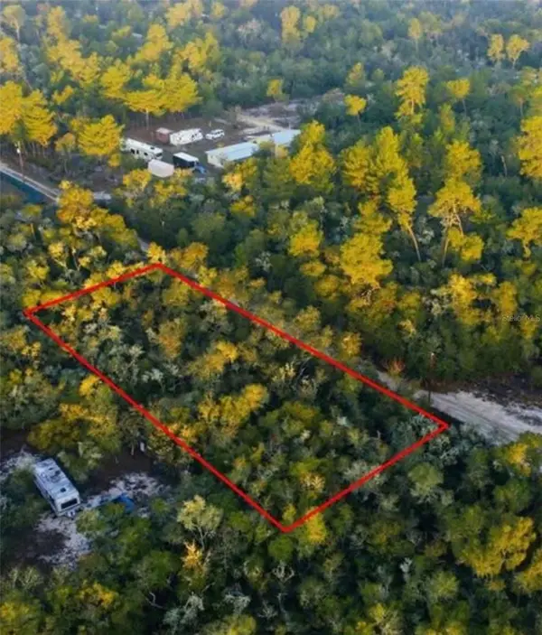 TBD NE 234 Place, FORT MC COY, FL 32134