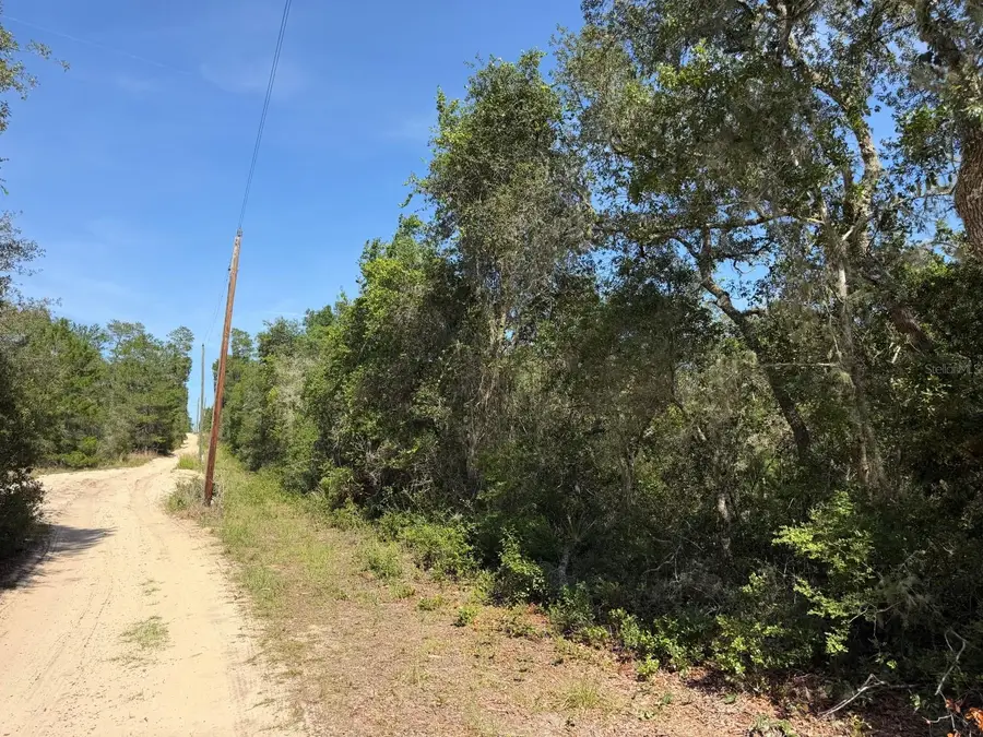 TBD NE 234 Place, Fort McCoy, FL 32134 - #2