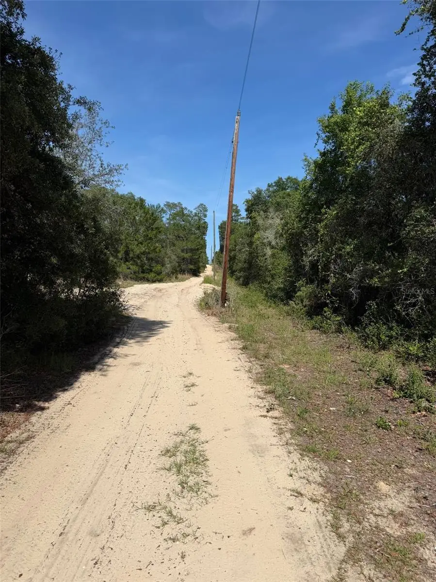 TBD NE 234 Place, Fort McCoy, FL 32134 - #3