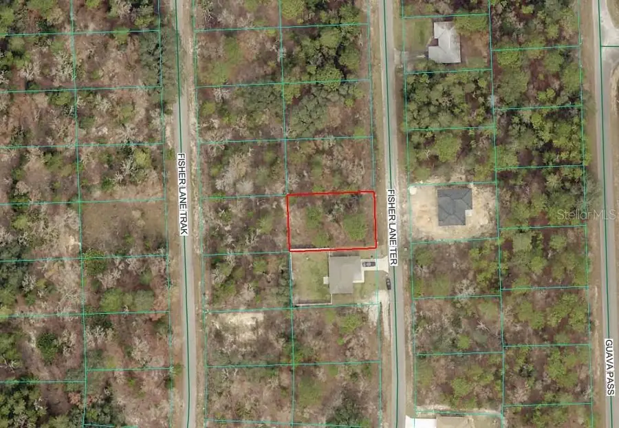 Fisher Lane Terrace, Ocklawaha, FL 32179 - #2