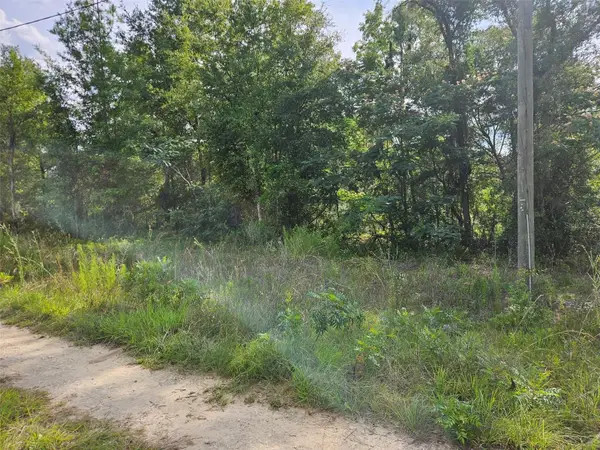 TBD NE 153rd Avenue, WILLISTON, FL 32696