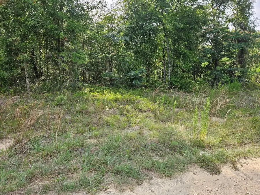TBD NE 153rd Avenue, Williston, FL 32696 - #2