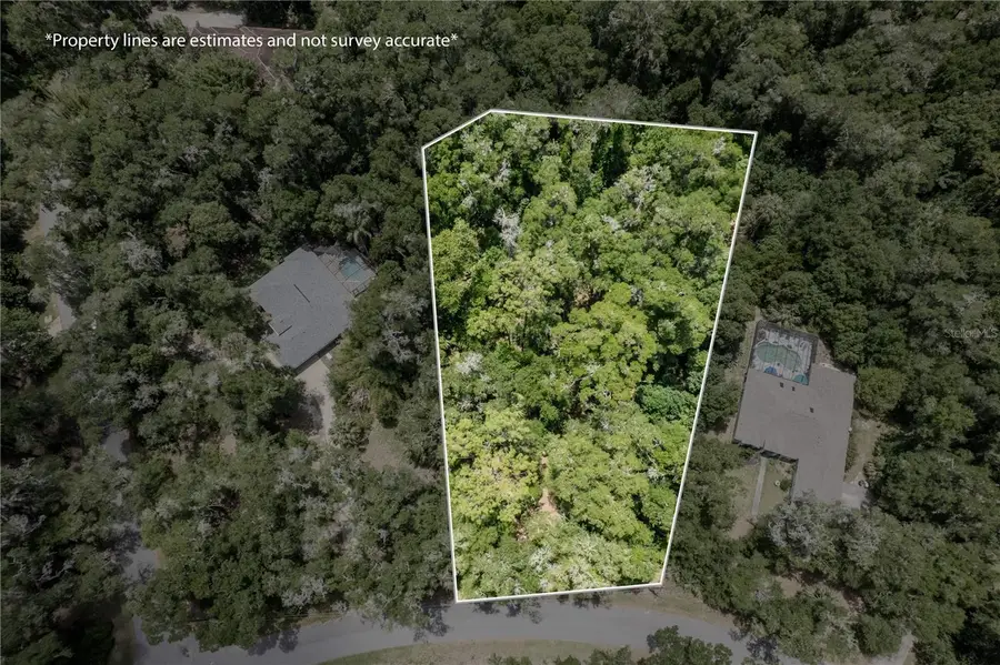 Lot 6 SW 186 Circle, Dunnellon, FL 34432 - #2