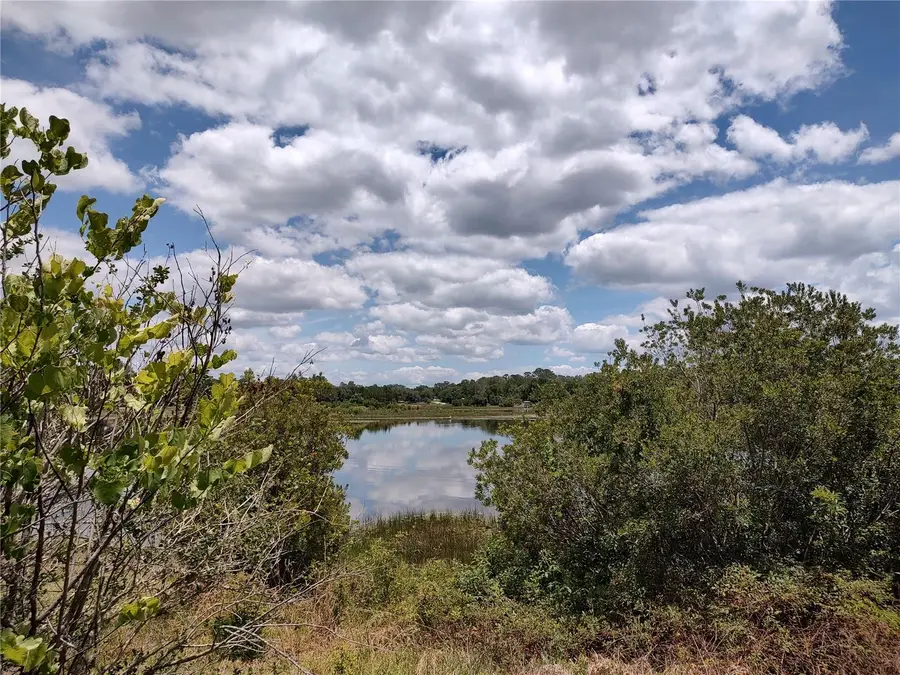 16885 SE 71st Street, Ocklawaha, FL 32179 - #2