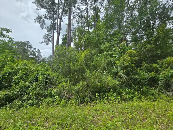 320 Sequoia Drive, OCKLAWAHA, FL 32179