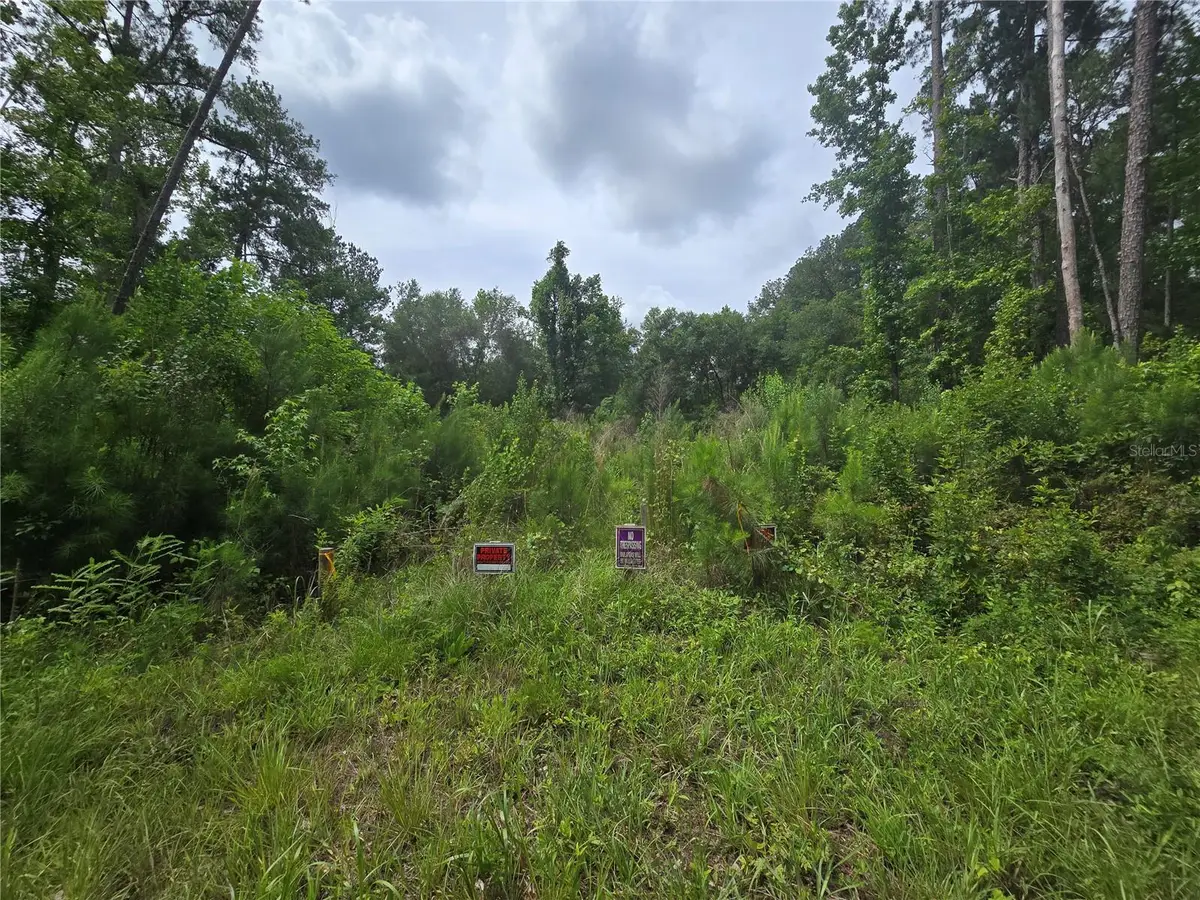 316 Sequoia Drive, Ocklawaha, FL 32179 - #1