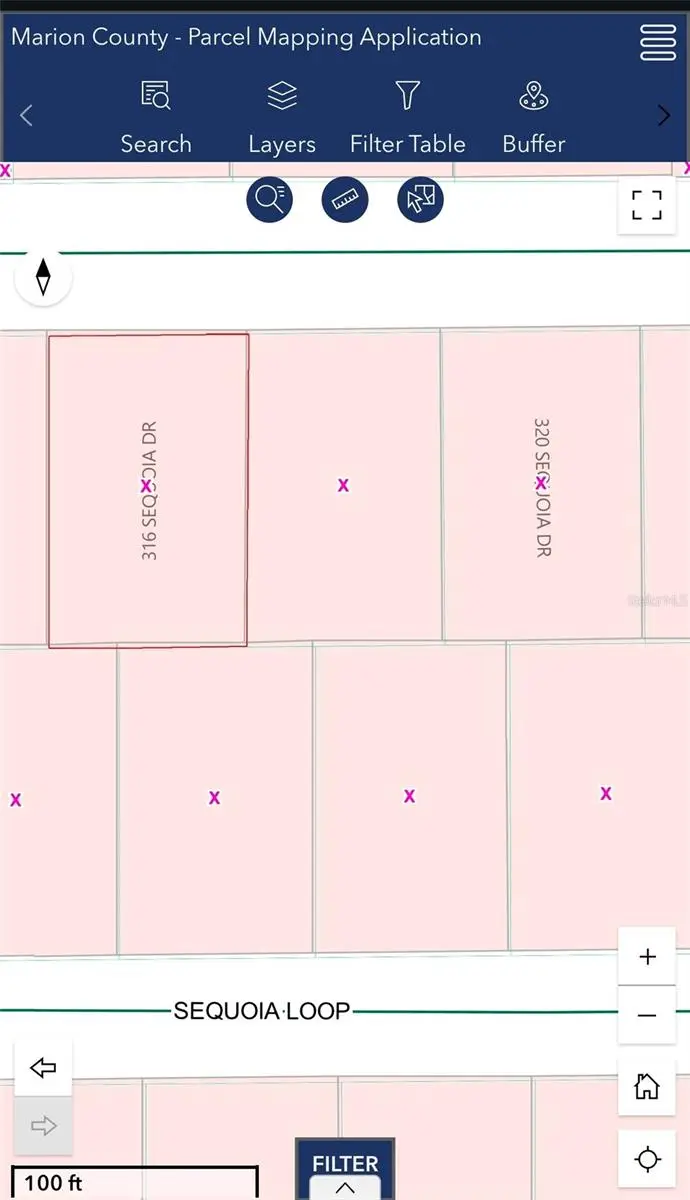 316 Sequoia Drive, Ocklawaha, FL 32179 - #3