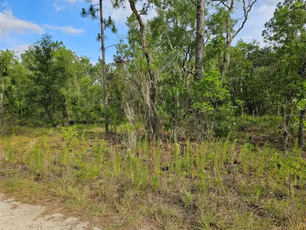 tbd NE 12th Lane, WILLISTON, FL 32696