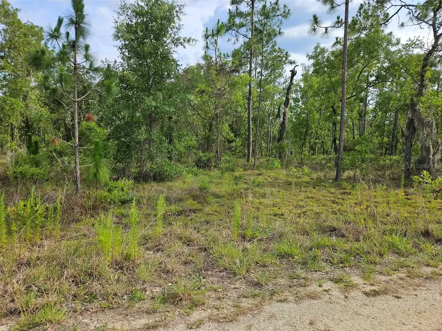 tbd NE 12th Lane, Williston, FL 32696 - #2