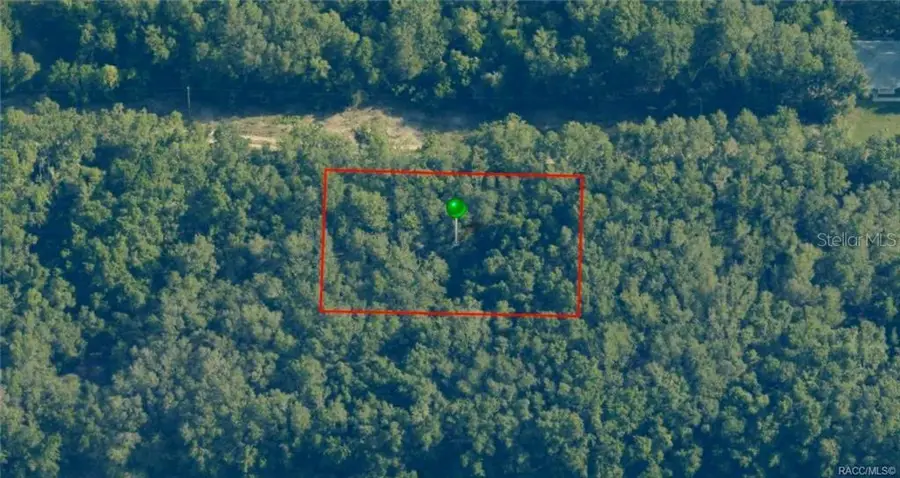 2305 Bluegrass Street, Inverness, FL 34453 - #3