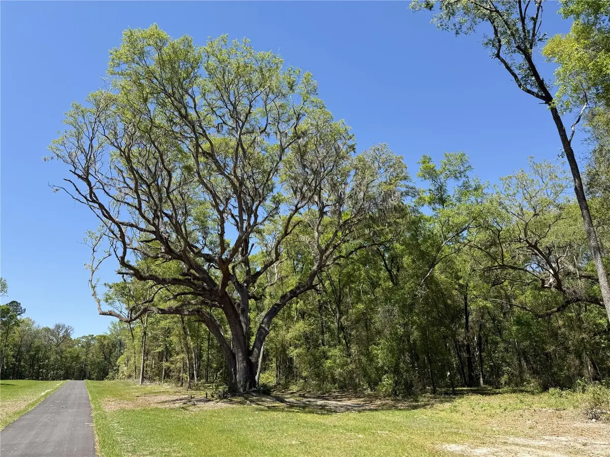 Irvine Acres #5 (13ac) W Hwy 318, Reddick, FL 32686 - #1