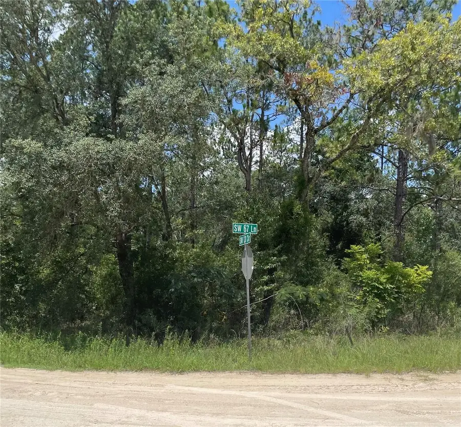 Sw 67 Lane & Sw 131 Cir, Ocala, FL 34481 - #3