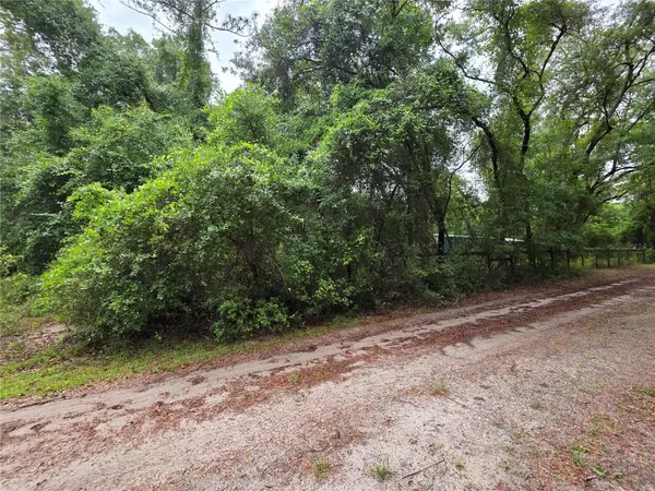 000 NE 138th Terrace, FORT MC COY, FL 32134