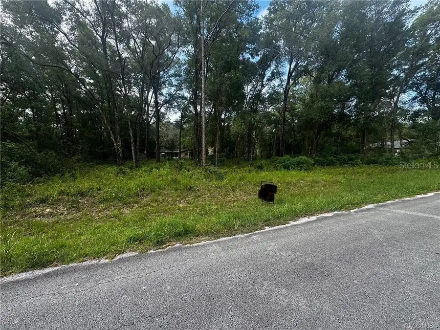 3698 E Johnson Place, Inverness, FL 34453 - #3