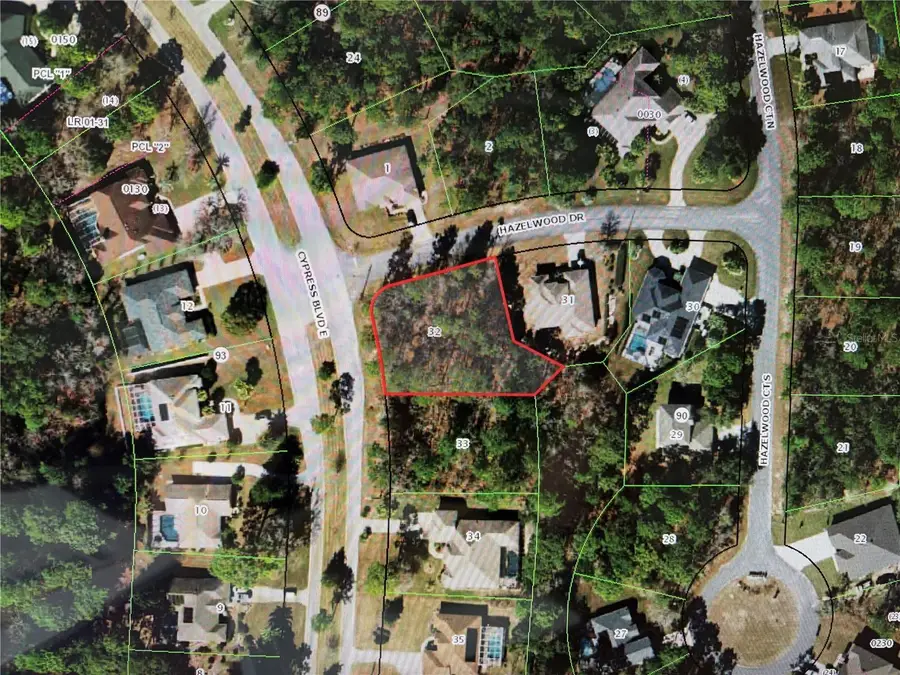 1 Hazelwood Drive, Homosassa, FL 34446 - #2
