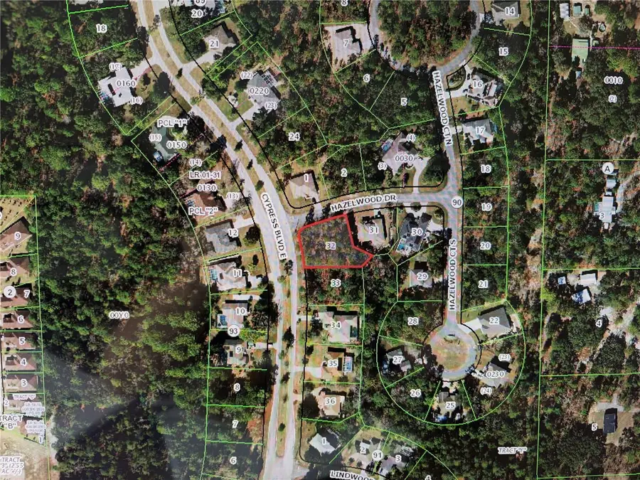 1 Hazelwood Drive, Homosassa, FL 34446 - #3
