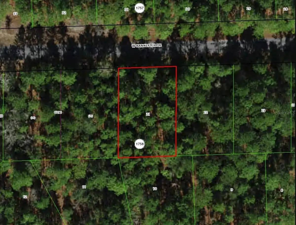 910 W Bannister Drive, Citrus Springs, FL 34434 - #1