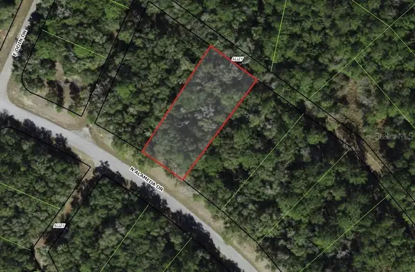 8755 N Alameda Drive, DUNNELLON, FL 34434
