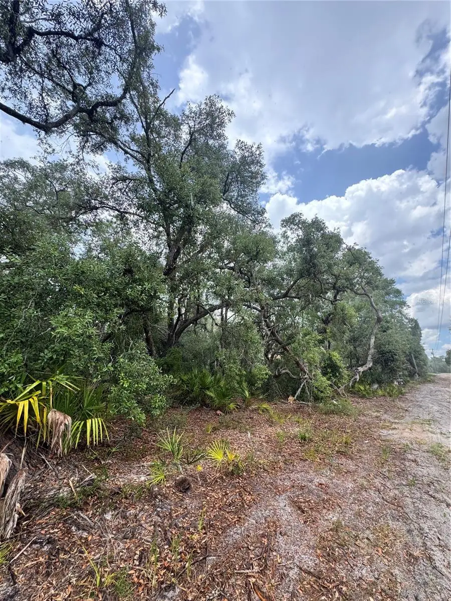 TBD SW 71st Road, Ocala, FL 34473 - #2