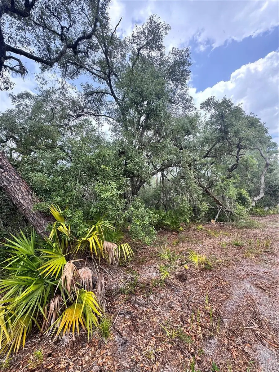 TBD SW 71st Road, Ocala, FL 34473 - #3