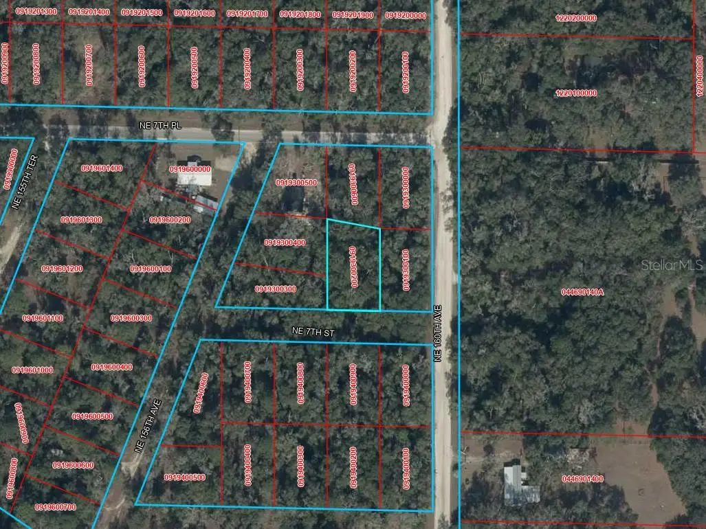 TBD NE 7th Street, Williston, FL 32696 - #1