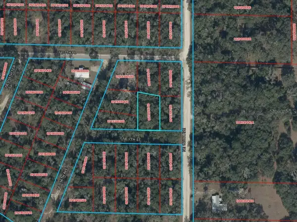 TBD NE 7th Street, WILLISTON, FL 32696